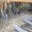 massey-ferguson-rb4180v-image-29