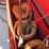 new-holland-269-image-6
