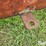 new-holland-30-image-13