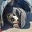 2017-international-workstar-7400-image-20