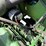 1983-john-deere-6620-image-111