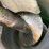 2017-john-deere-s680-image-79