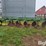 john-deere-5-image-2
