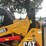 2019-caterpillar-259d3-image-24