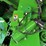 2024-john-deere-s780-image-77