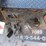 2009-ford-f450-image-25