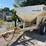 willmar-500-image-1
