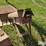 peck-802-image-11