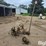 john-deere-5-image-6