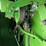 1983-john-deere-6620-image-64