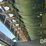 case-ih-3020-image-22