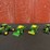 john-deere-64-image-1