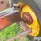 new-holland-30-image-14