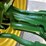 2014-john-deere-8285r-image-52