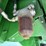 2016-john-deere-s680-image-86