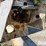 willmar-800-image-14