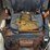 bobcat-753-image-31
