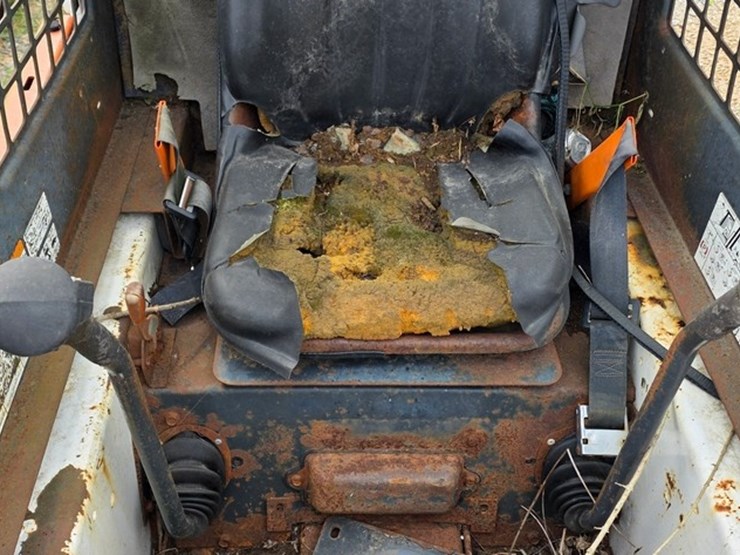 bobcat-753-image-31