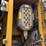 caterpillar-320gc-image-30