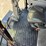 #79911-•-mf-9540-#dhc17104-image-101