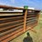 #113015-•-10-panels-1-gate-image-10