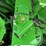 2022-john-deere-s780-image-90