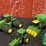 john-deere-64-image-4