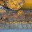 2019-caterpillar-d6n-lgp-image-31