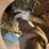 westfield-10x61-image-4