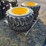 new-holland-8-image-3