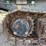 2015-powerscreen-trakpactor-320-image-29