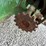 john-deere-443-image-15