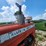 1965-allis-chalmers-d19-image-17