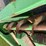 1993-john-deere-643-image-14