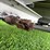 2013-stoughton-trailer-image-25