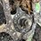 2001-john-deere-693-image-34
