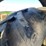 hardi-saritor-image-52