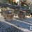 john-deere-7000-image-5