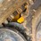 jcb-3ts-8t-image-14
