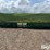 2011-john-deere-612c-image-6