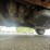 2008-jeep-liberty-sport-image-23