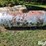 1960-trinity-tank-image-2