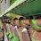 john-deere-643-image-11