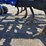 #113178-•-landall-2211-13-chisel-#22f1300360-image-21