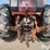 1972-case-1070-agri-king-2wd-tractor-image-9