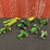 john-deere-64-image-1