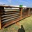 #113015-•-10-panels-1-gate-image-1