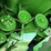 2013-john-deere-s670-image-84