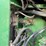 1999-john-deere-9200-image-15