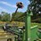 john-deere-1770-image-7